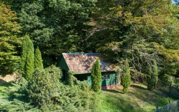 A zselici erdőben is sétálhatunk a StreetView segítségével
