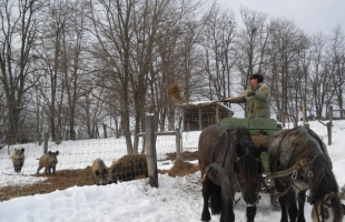 Lassan enged a tél a szorításából