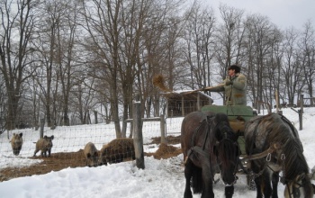 Lassan enged a tél a szorításából