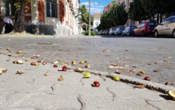 Veszélyes is lehet az ősz