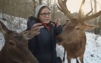 Megnézhetjük Kaposváron is az Oscarra jelölt magyar filmet