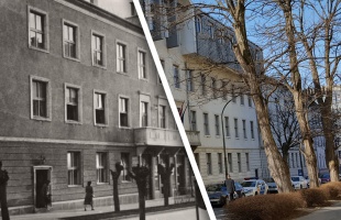 Akkor és most: amikor még embermagasságúak voltak az akácfák