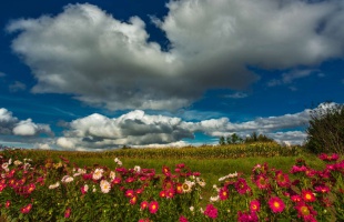Nyári idő, sok zivatarral