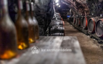 Van borospincéje? Így kerülheti el, hogy a mustgáz veszélybe sodorja önt