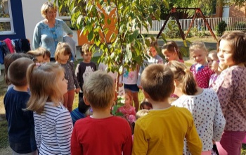Kertből kert a Honvéd Utcai Tagóvodában: a kicsik is segítettek elültetni a virágokat