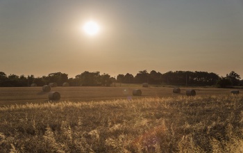 Fokozódik a hőség