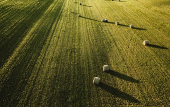 Bárki véleményezheti az agrárium megújulását elősegítő pályázatot
