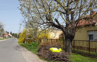 Nem marad a nyakunkon a zöldhulladék - jövő héten indul a szállítás