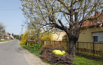 Nem marad a nyakunkon a zöldhulladék - jövő héten indul a szállítás