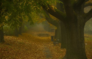 A hétvége utolsó napján is őszies, napsütéses időnk lesz