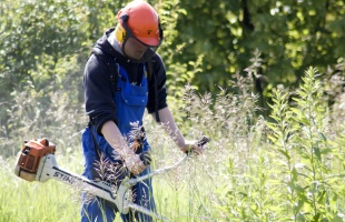 Újabb közfoglalkoztatási program indul Somogyban
