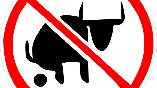 A pornó és az apró ember