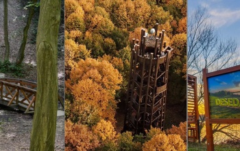 Kíváncsiak voltunk, hogy turistaként mit lehet csinálni Kaposváron és környékén a pandémia idején