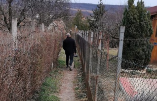 A burkolat javítását kérték Zselic-kertváros lakói