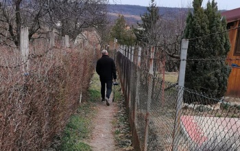 A burkolat javítását kérték Zselic-kertváros lakói