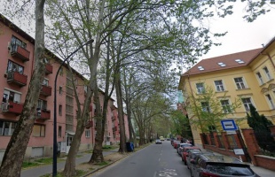 Megszépül a Somssich Pál utcai fasor is