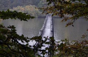 Borús, esős idő várható