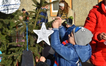 Csillagok, hópelyhek és színes gömbök kerültek a tűzoltók fenyőfájára