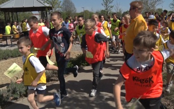 Nárcisz futásra hívják a kaposváriakat a Városligetbe
