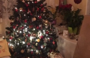 Krizsicskó család karácsonyfája