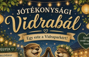 Jótkonysági vidrabált tart a Petesmalmi Vidrapark
