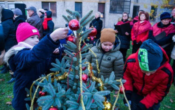 Advent első vasárnapján a Léva közben is feldíszítették a karácsonyfát