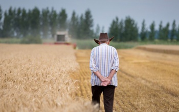 Jelentős segítséget nyújt a gazdálkodóknak az Agrárminisztérium