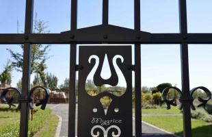 Szabadság
