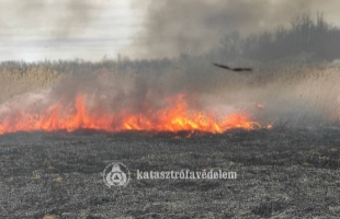 Szabadtéri tűzhöz riasztották a siófoki tűzoltókat – Videó