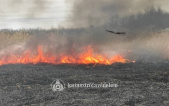 Szabadtéri tűzhöz riasztották a siófoki tűzoltókat – Videó