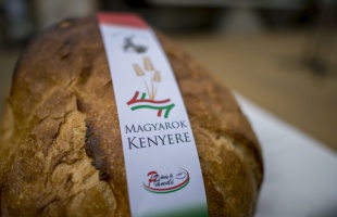 Már nyolcadik éve indul el a Magyarok Kenyere Program a rászoruló gyermekek megsegítéséért