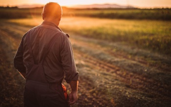 Jelentős könnyítéssel segíti a kormány a gazdálkodókat a Vidékfejlesztési Program zárásakor