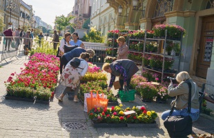 Pénteken újra itt a kaposváriak kedvenc virágvására