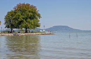 Algavirágzás, szúnyoginvázió és apadó vízszint: így indult a nyár a Balatonnál