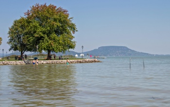 Algavirágzás, szúnyoginvázió és apadó vízszint: így indult a nyár a Balatonnál