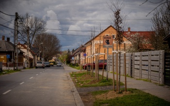 Közös utcaszépítés – önkormányzati támogatással ültettek új fasort a Pázmány Péter utca lakói