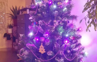 Judit és Zsolt karácsonyfája