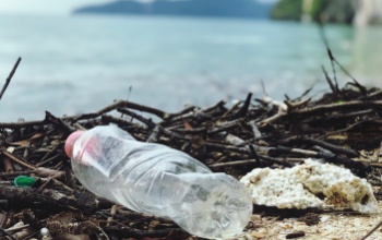 „Nem a műanyag a hibás, hanem az ember, aki rosszul használja azokat”