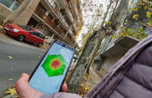 Felmérik és kezelik a koros fasorokat Kaposvár belvárosában