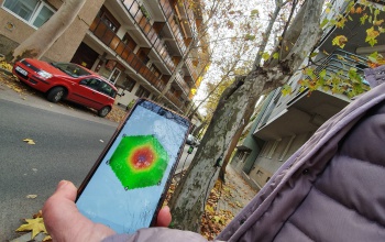 Felmérik és kezelik a koros fasorokat Kaposvár belvárosában