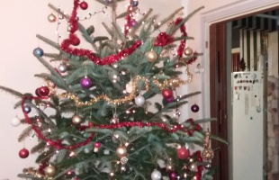 Szabóék karácsonyfája