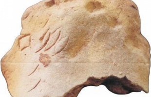 Rovásírásos lelet a múzeumban