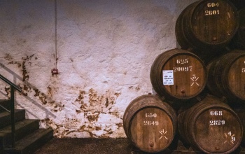 Mustgázmérgezés – életveszély a borospincékben a szüret után