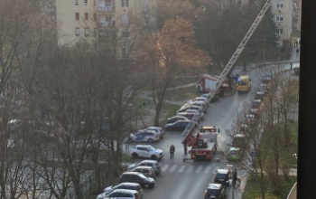 Tűzoltók segítettek bejutni a mentőknek egy lakásba a Sávháznál
