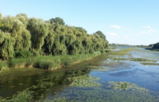 Van valami a Balatonnál, ami egész Európában a hatodik legnagyobb, mégis nagyon kevesen tudnak róla