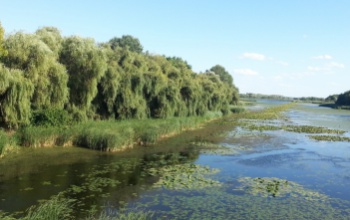 Van valami a Balatonnál, ami egész Európában a hatodik legnagyobb, mégis nagyon kevesen tudnak róla