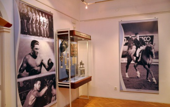 Sportolók, sikerek, serlegek címmel nyílt kiállítás