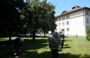 Lódarazsak keltettek riadalmat Marcaliban