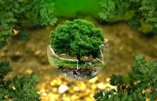 Mit tehetnek a biztosítók a környezet védelme érdekében?