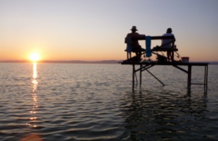Halak életét mentik a Balatonnál